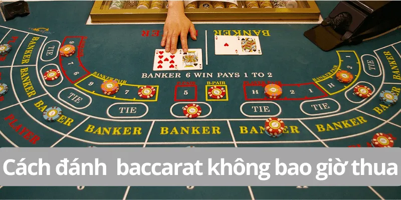cach-choi-baccarat-khong-bao-gio-thua